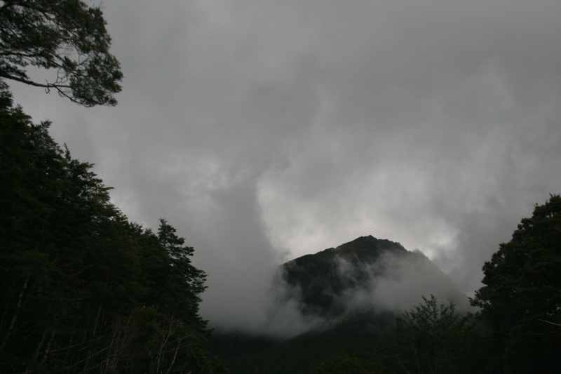 Nieuw-Zeeland 2011 - 1302